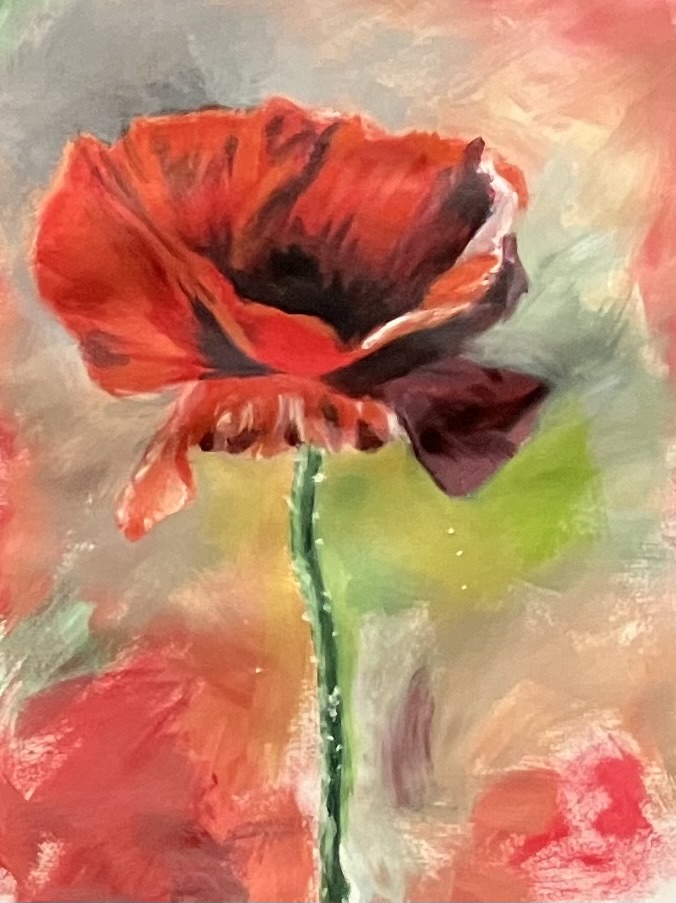 Klaproos geschilderd in acrylverf